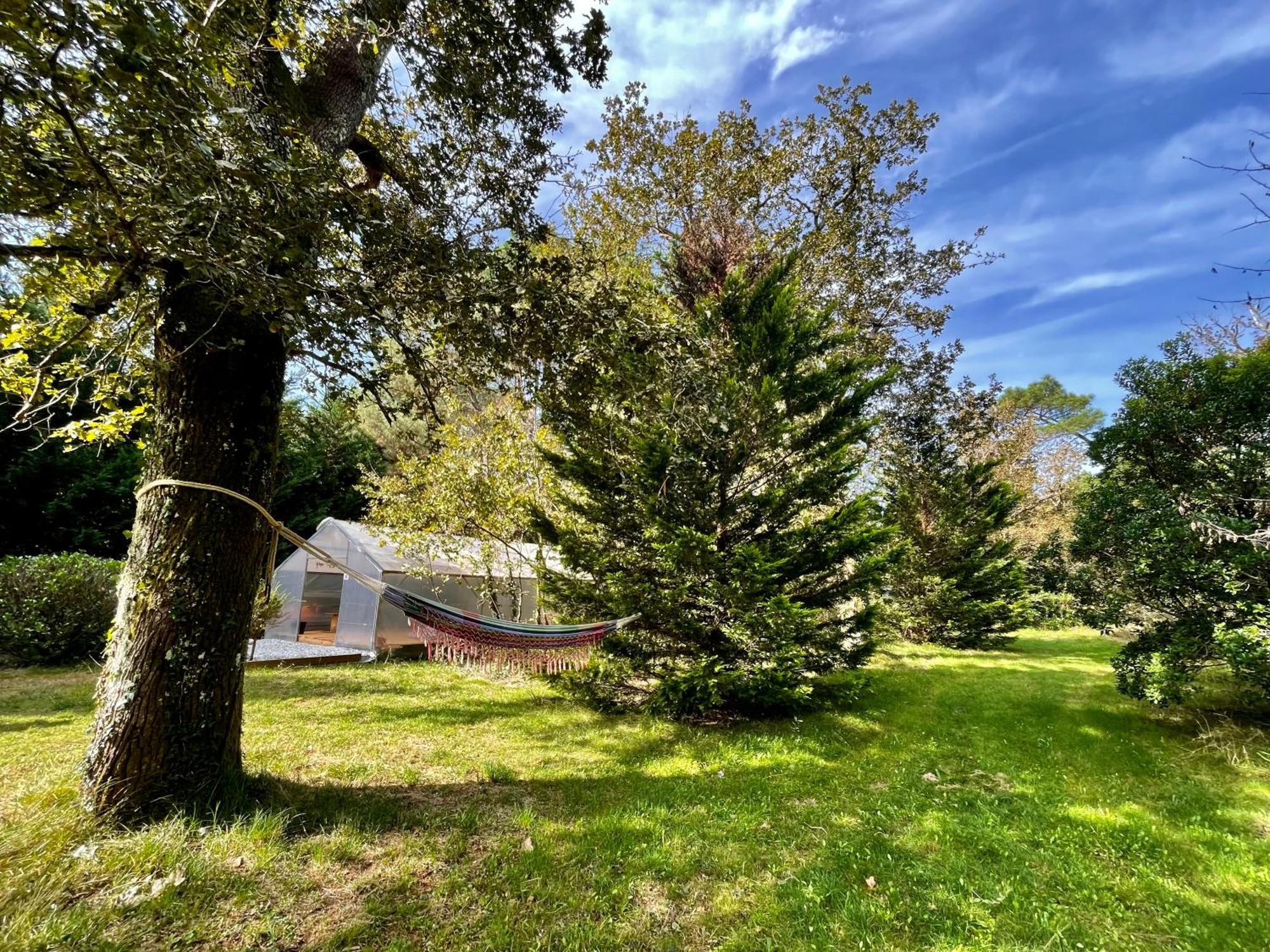 Cabane Au Milieu Des Pins - Domaine Temali Labouheyre Exterior foto
